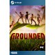 Grounded Steam [Online + Offline]